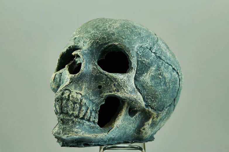 a close up of a skull on a stand, an album cover, inspired by Károly Markó the Elder, trending on pixabay, new sculpture, neanderthal people, blue, small jaw, full face