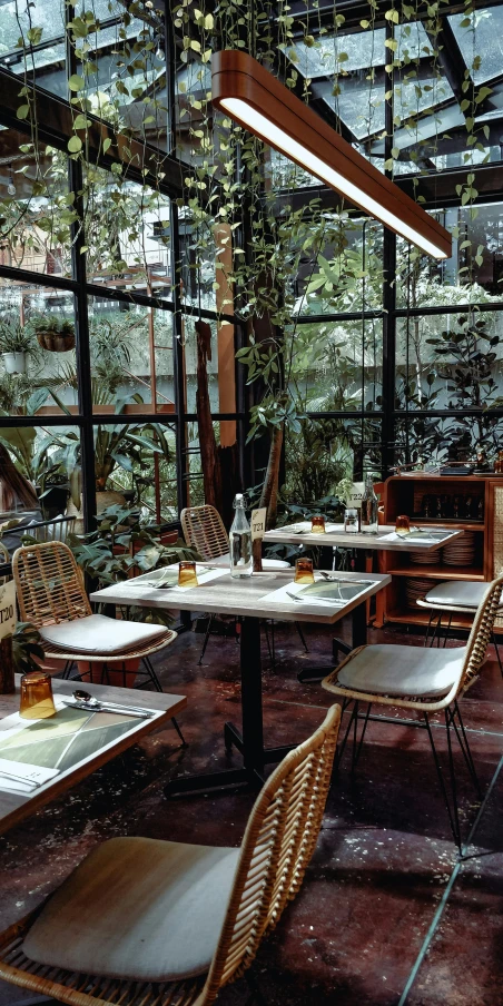 a dining room filled with lots of tables and chairs, by Elsa Bleda, pexels, lush vegetation in the center, mexico city, greenhouse, low quality photo