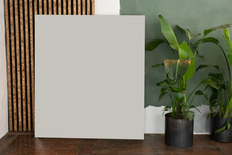 a picture frame sitting on top of a wooden floor next to potted plants, a minimalist painting, flat grey background, large vertical blank spaces, payne's grey, 144x144 canvas