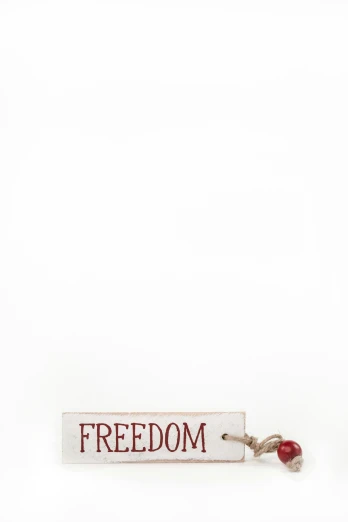 a keychain with the word freedom written on it, an album cover, by Robert Feke, modernism, irving penn, ffffound, hermann nitsch, sign