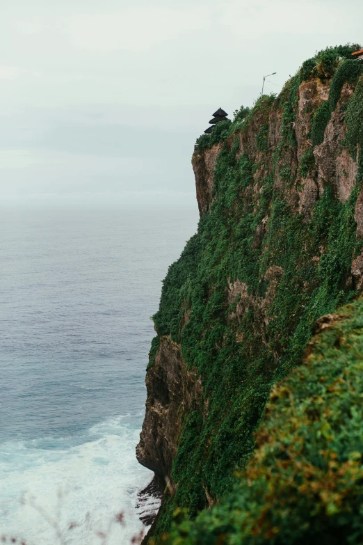 a man standing on top of a cliff next to the ocean, sōsaku hanga, dense with greenery, kodak portra, azores, bhutan