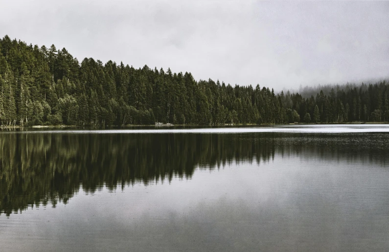 a large body of water surrounded by trees, inspired by Thomas Struth, pexels contest winner, overcast lake, black fir, minimalist photorealist, grey