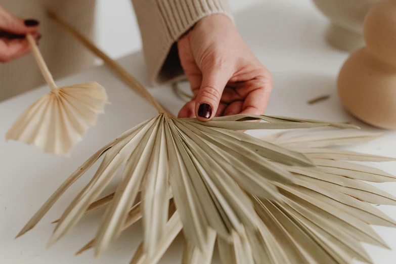 a close up of a person holding a palm leaf, by Emma Andijewska, process art, on a white table, sustainable materials, light tan, decorations