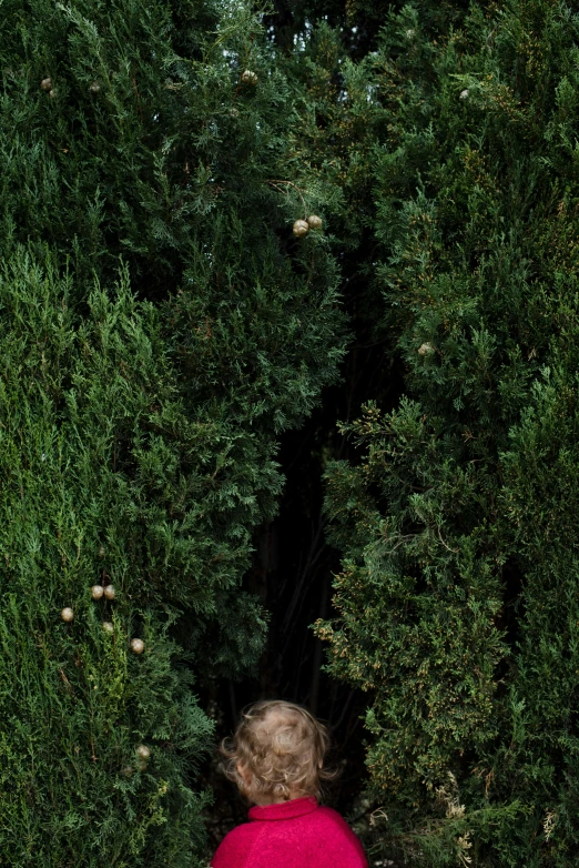 a little girl that is standing in the grass with a frisbee, an album cover, by Jan Tengnagel, unsplash, renaissance, verdant topiary, view from above, cypresses, vertical portrait