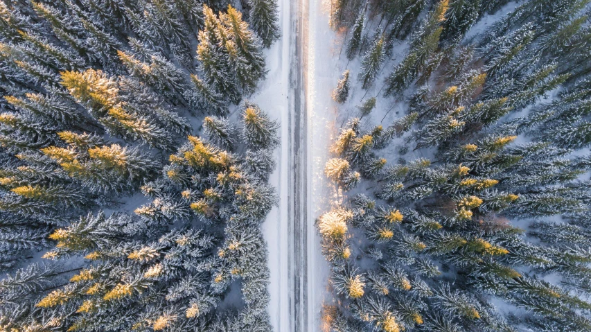 an aerial view of a road in the middle of a forest, a photo, by Jaakko Mattila, pexels contest winner, snow glow, thumbnail, extremely close shot, golden glow