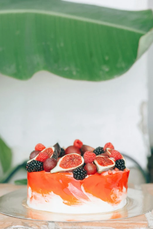 a close up of a cake on a plate on a table, fruit world, coral red, botanicals, bakery