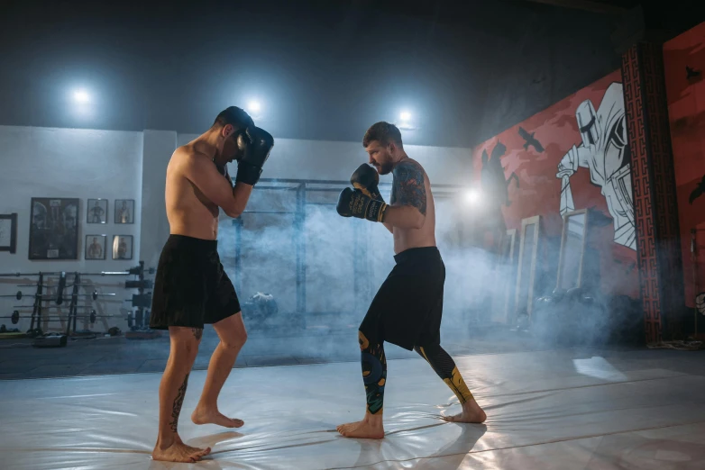 two men standing next to each other in a boxing ring, pexels contest winner, figuration libre, in a dojo, avatar image, thighs focus, lachlan bailey