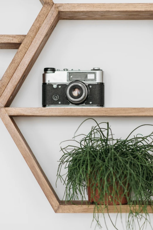 a camera sitting on top of a shelf next to a potted plant, by Sven Erixson, trending on unsplash, geometrical, simple wood shelves, hasselblad photograph, looking up at camera