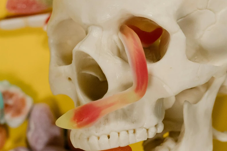 a fake skull with a tongue sticking out of it's mouth, an abstract sculpture, inspired by Sarah Lucas, trending on pexels, candy treatments, tendons, yellow, scientific photo