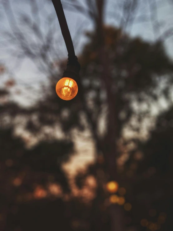 a close up of a light with a tree in the background, cafe lighting, light bulbs, dusk setting, ambient amber light
