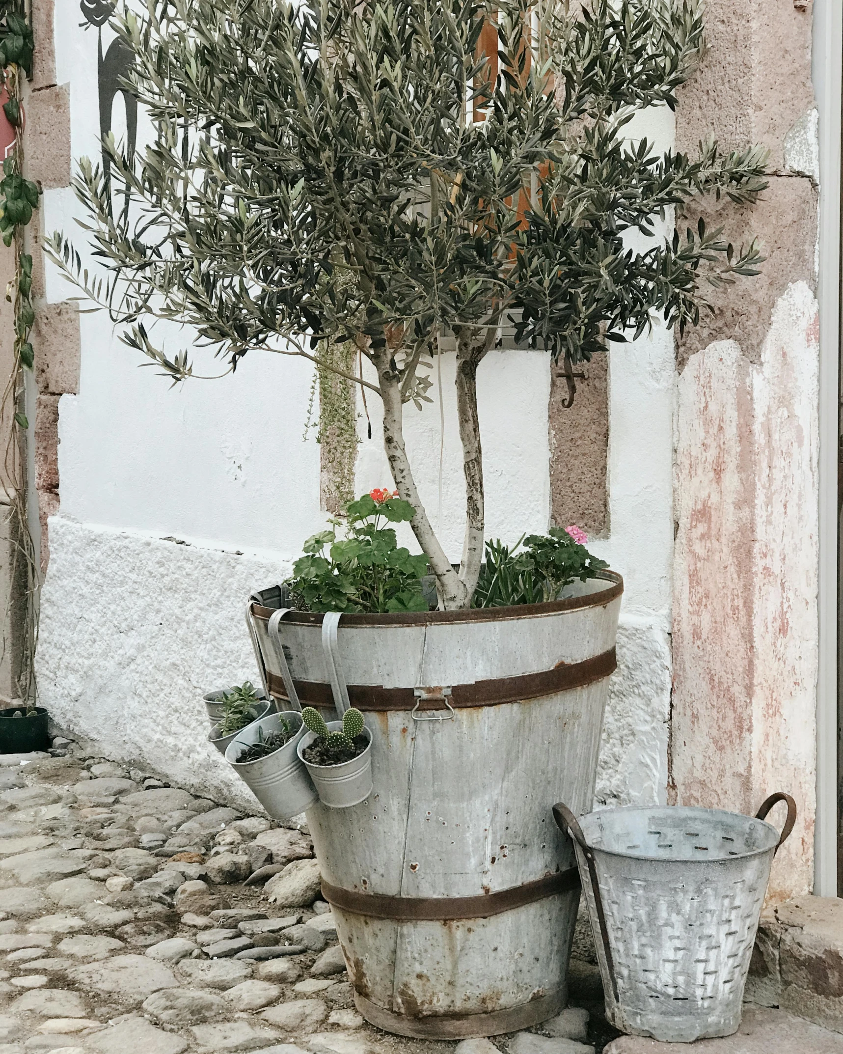 a potted olive tree sitting on the side of a building, product image, rustic and weathered, watertank, white and silver