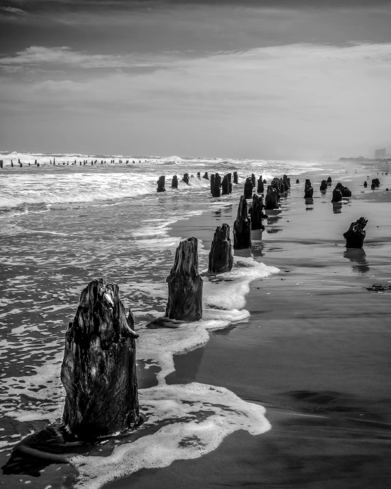 a group of people standing on top of a beach next to the ocean, a black and white photo, inspired by Willem de Poorter, art photography, fallen columns, intricate water, dead forest, in a row