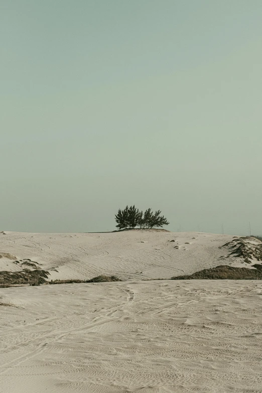 a man riding a snowboard down a snow covered slope, inspired by Zhang Kechun, unsplash contest winner, minimalism, in socotra island, old photo of a creepy landscape, buried in sand, sparse trees