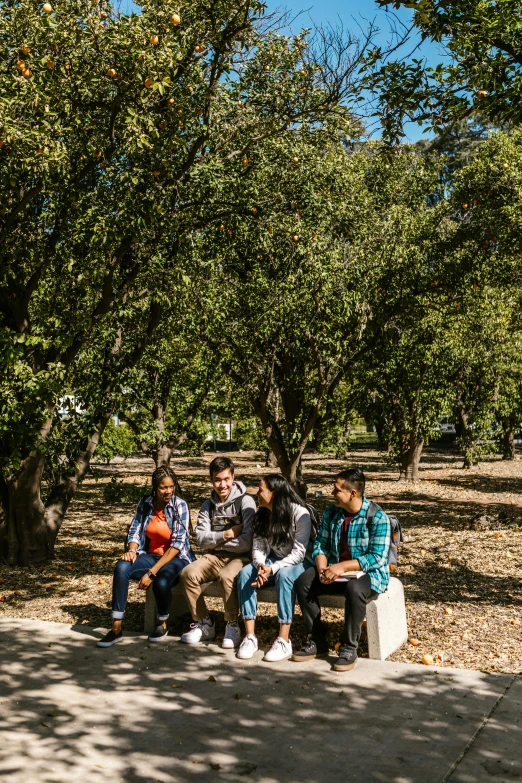 a group of people sitting on a bench in a park, cupertino, fruit trees, college students, bryan sola