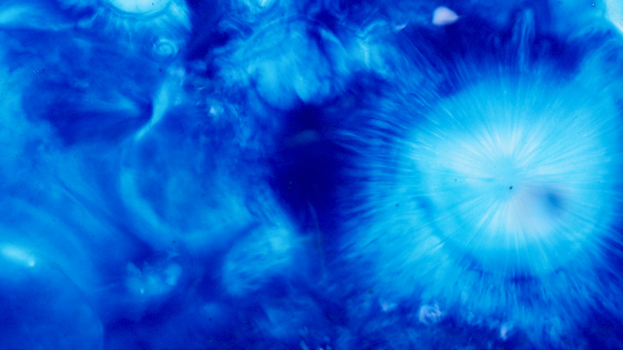 a close up of a bunch of blue flowers, a microscopic photo, inspired by Yves Klein, abstract expressionism, cosmic sun in the background, swirling vortex of energy, blue translucent resin, doors that are cosmic portals