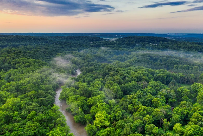 a river running through a lush green forest, a matte painting, by Greg Rutkowski, pexels contest winner, view from helicopter, bentonville arkansas, at dawn, panoramic