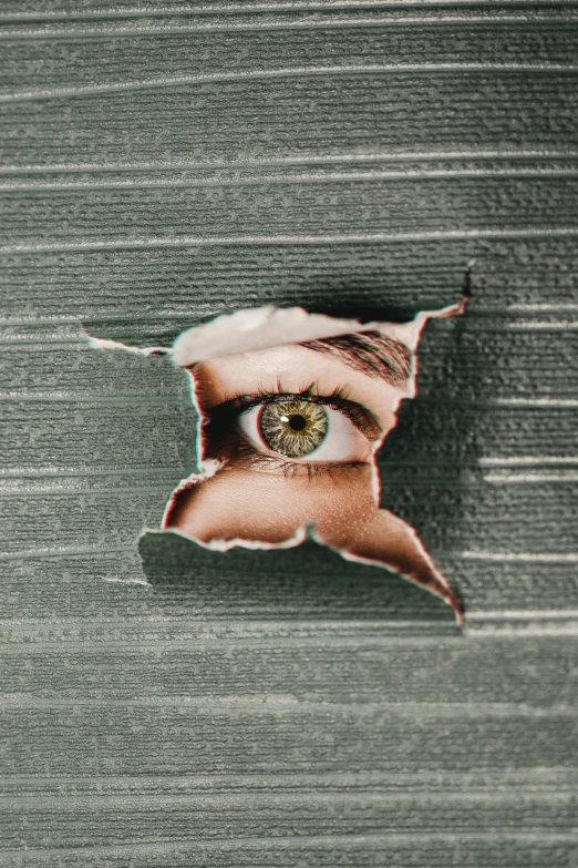 a person looking through a hole in a wall, an album cover, inspired by Hedi Xandt, trending on pexels, green eye, torn fabric, cardboard, surveillance