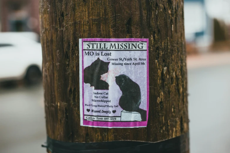 a black cat sitting on top of a wooden pole, a poster, trending on pexels, street art, missing panels, mourning, sticker design, sarah cliff