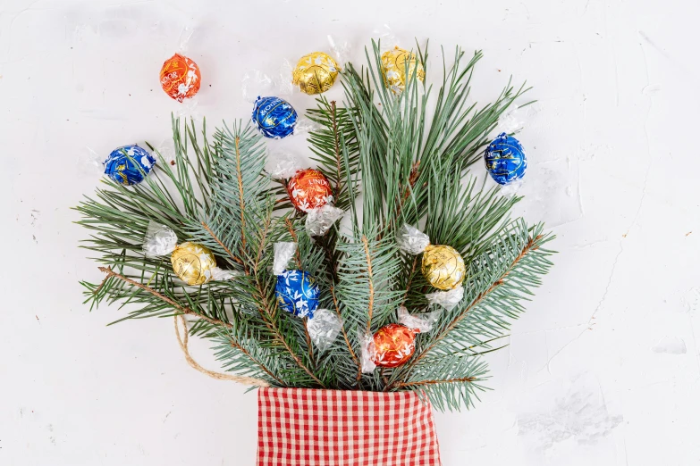 a small christmas tree in a red and white bag, a colorized photo, trending on unsplash, chocolate candy bar packaging, blue and white and gold, evergreen branches, front facing shot