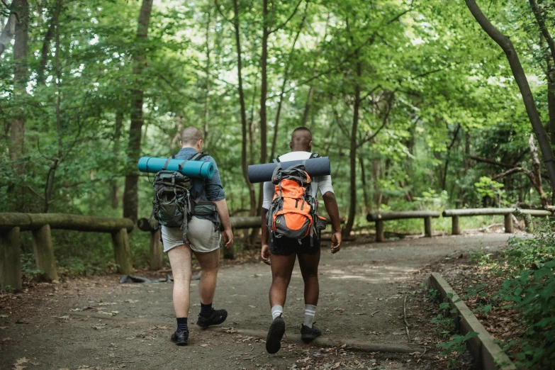two people walking down a path in the woods, by Carey Morris, pexels, renaissance, carrying survival gear, avatar image, summer camp, two male