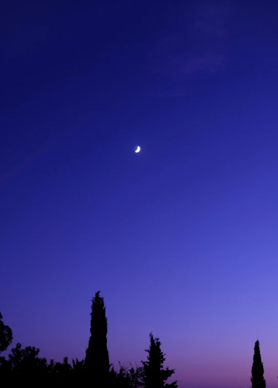 the moon is setting in the sky above the trees, by Alexis Grimou, minimalism, cypresses, today\'s featured photograph 4k, clear blue sky, square