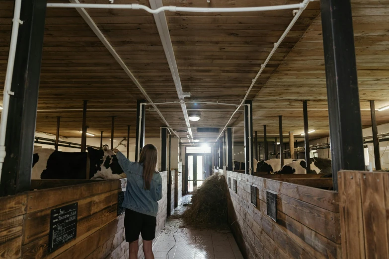 a man that is standing in front of some cows, by Jessie Algie, unsplash, wooden ceiling, of augean stables, people walking around, panoramic view of girl