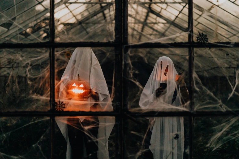 a couple of people that are standing in front of a window, pexels contest winner, surrealism, trick or treat, wearing torn white cape, 🦩🪐🐞👩🏻🦳, inside head cobwebs