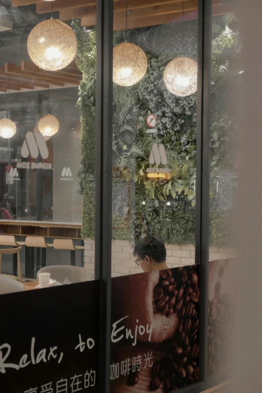 a view of a coffee shop through a window, inspired by Mario Bardi, branches growing as hair, mcdonalds interior background, nadir lighting, shop front
