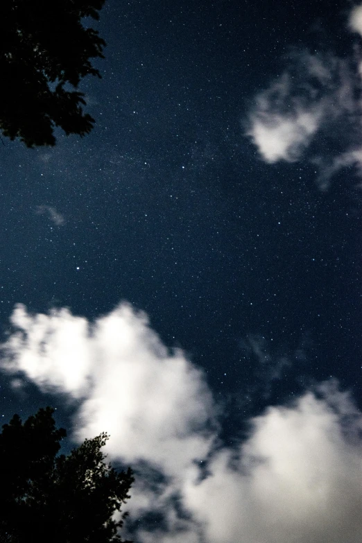 a night sky with clouds and trees in the foreground, unsplash, light and space, star sharpness, scattered clouds, up close, mid shot photo