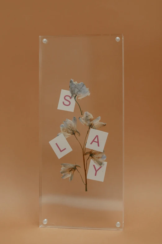 a close up of a glass plaque with flowers on it, an album cover, by Peter Alexander Hay, unsplash, serial art, letter s, slay, very long arms, translucent sss xray