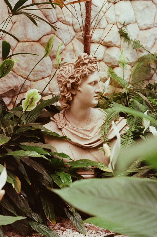 a statue of a woman surrounded by plants, inspired by Andrea del Verrocchio, trending on pexels, neoclassicism, boys, alexander the great, vintage photo, made of leaves