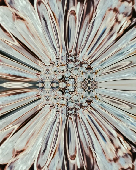 a close up of a metal flower on a table, a microscopic photo, unsplash, crystal cubism, refracted sparkles, coherent symmetrical artwork, chrome reflect, digital still