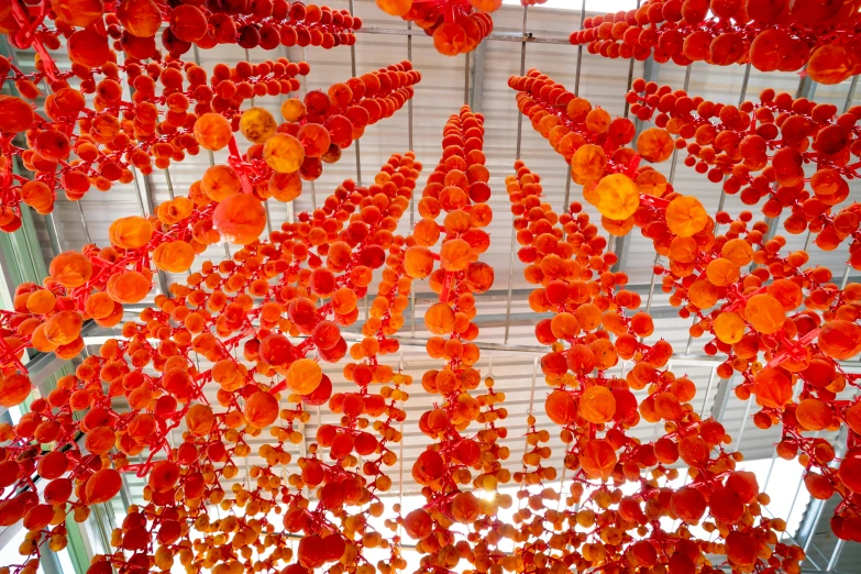 a bunch of orange flowers hanging from a ceiling, by Ai Weiwei, jellyfishes, red lanterns, 🦩🪐🐞👩🏻🦳, jin shan