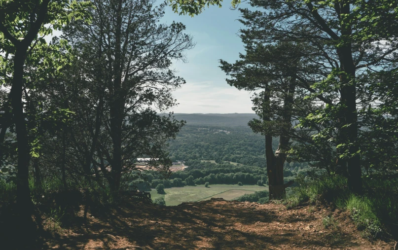 a dirt road surrounded by trees on a sunny day, unsplash contest winner, renaissance, overlooking a valley with trees, swedish forest, looking over city, william penn state forest