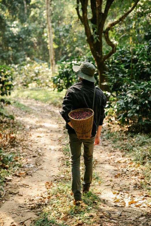 a man walking down a dirt road carrying a basket, coffee, walking through a lush forest, coffee beans, sichuan