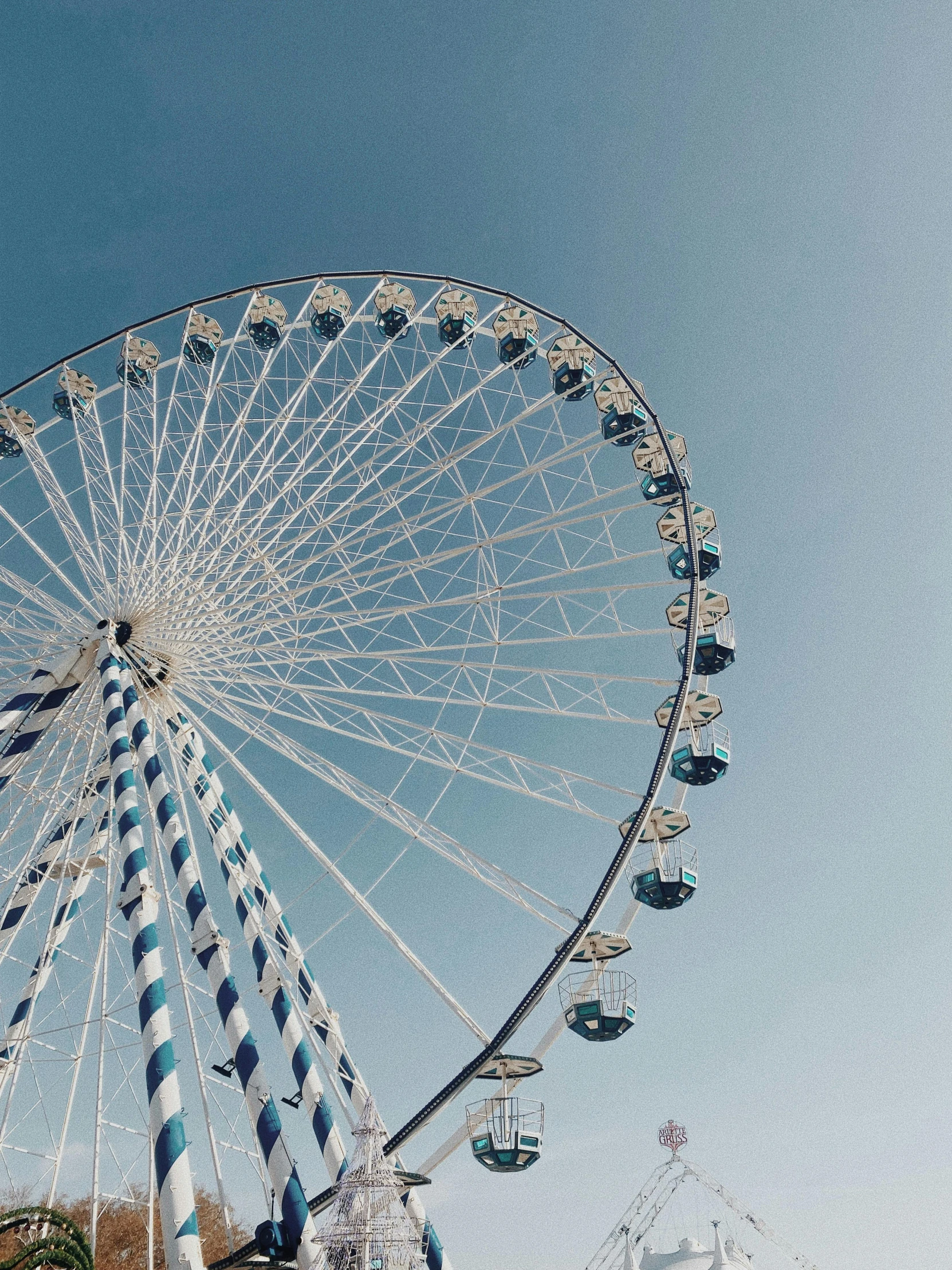 a large ferris wheel sitting in the middle of a park, profile image, blue and white colour scheme, selfie photo, 🚿🗝📝