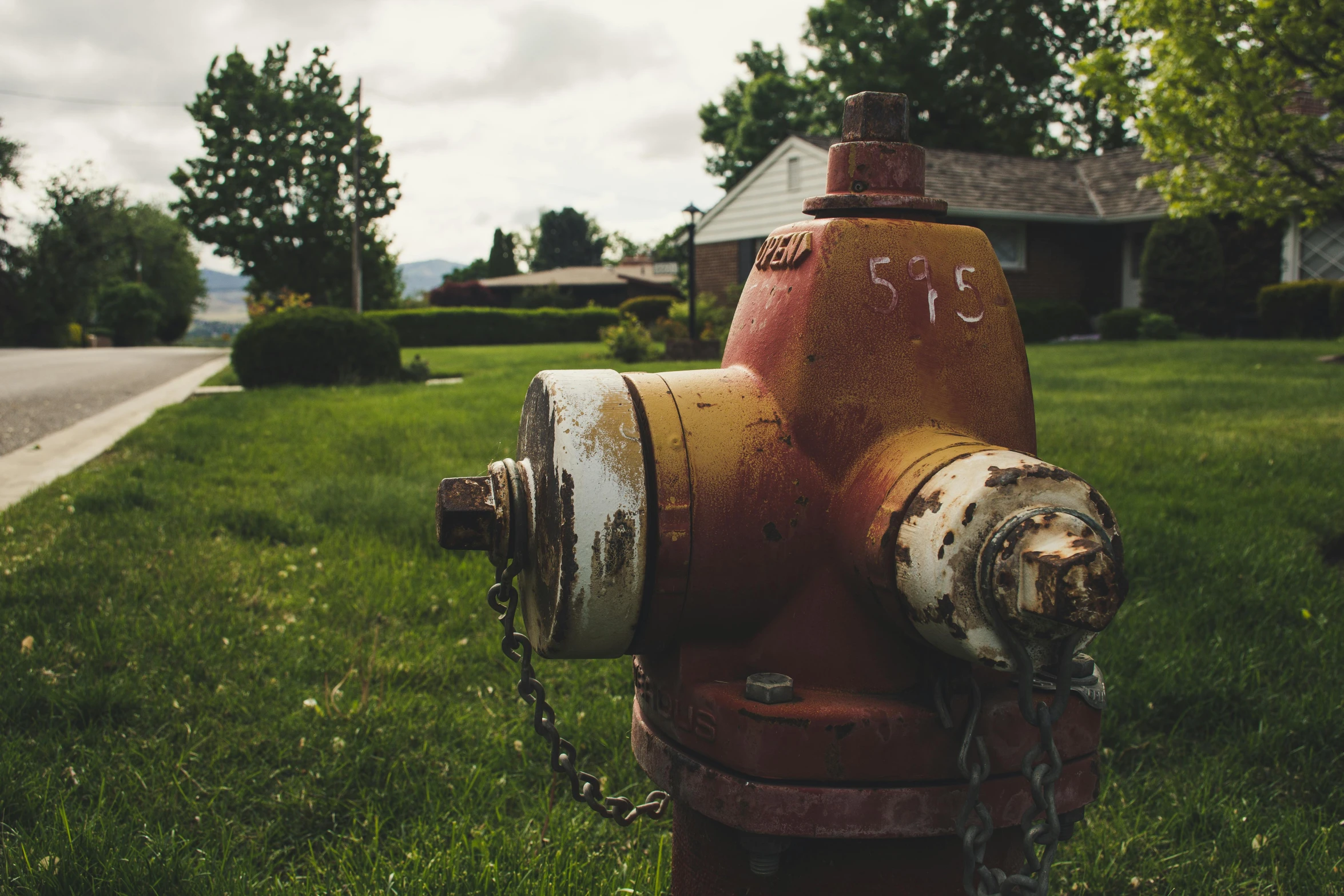 a red and white fire hydrant sitting on top of a lush green field, inspired by Elsa Bleda, pexels contest winner, grungy, neighborhood, fire lit, hoses