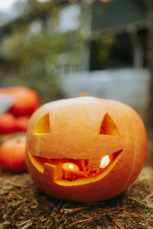 a carved pumpkin sitting on top of a pile of hay, pexels, lantern, smiling, profile image, made of glazed