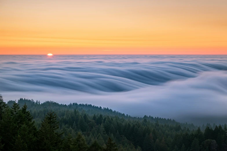 the sun is setting over a sea of clouds, a picture, by Matt Cavotta, unsplash contest winner, redwood forest, 2 5 6 x 2 5 6 pixels, cloud vortex, ultrawide landscape