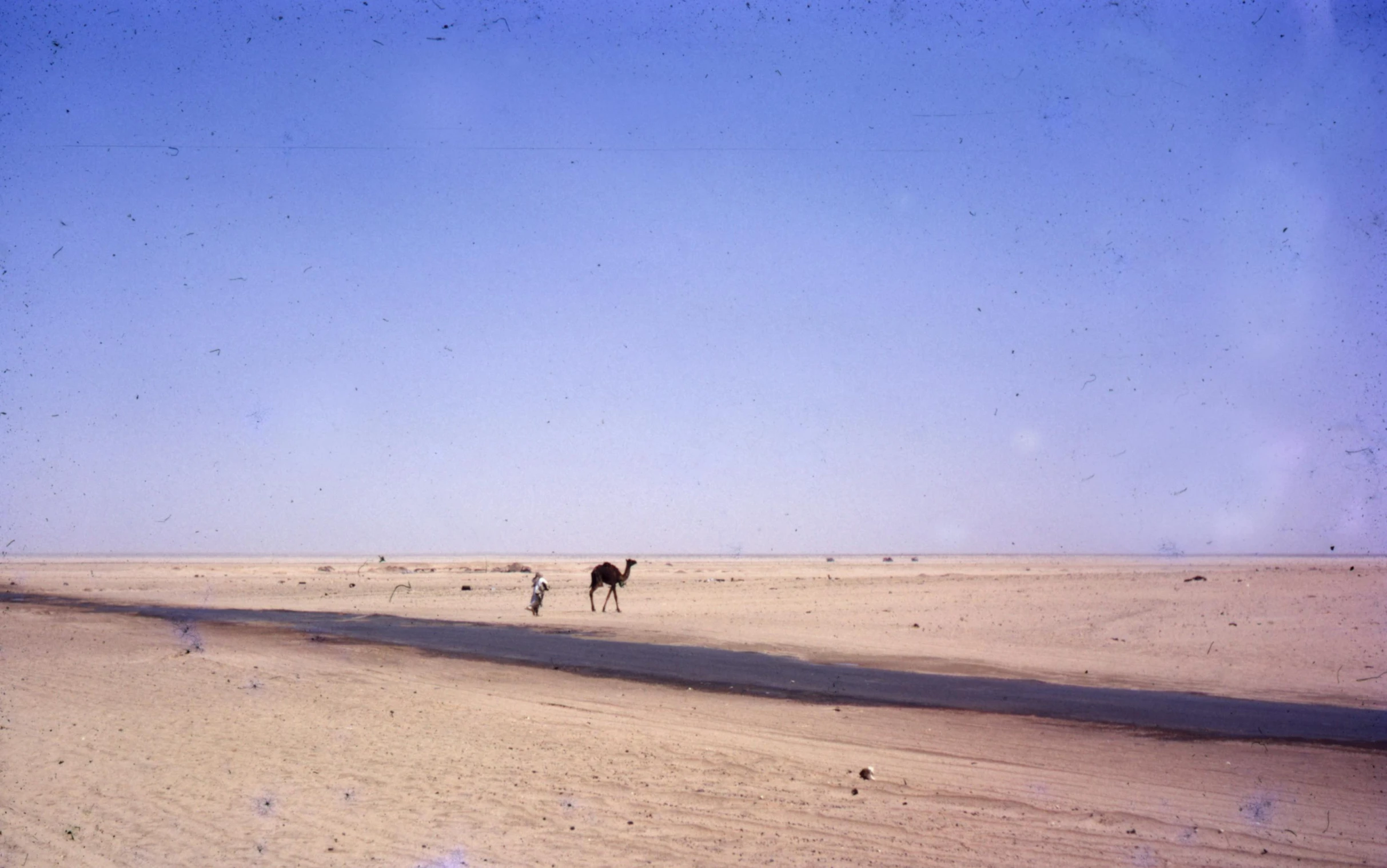 a horse standing in the middle of a desert, a colorized photo, les nabis, distant - mid - shot, long street, slide show, afar