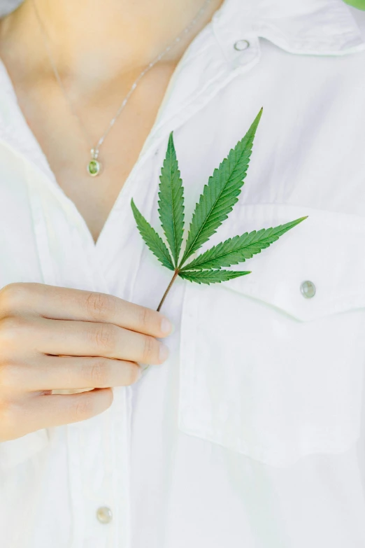 a woman in a white shirt holding a green leaf, a cartoon, inspired by Mary Jane Begin, trending on pexels, necklace on display, hemp, zoomed out, medical image