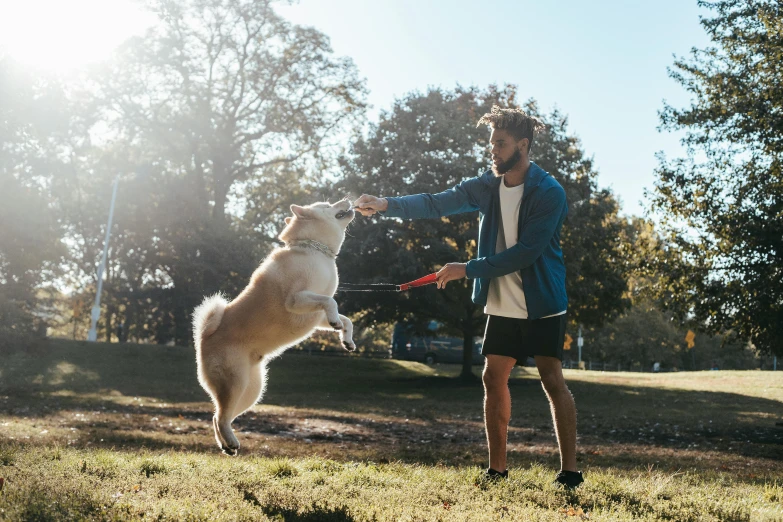 a man playing with a dog in a park, pexels contest winner, aussie, pouncing, ad image, sup