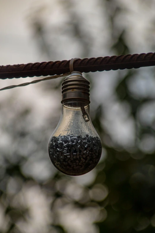 a light bulb hanging from a wire with trees in the background, seeds, grey, coal, evenly lit