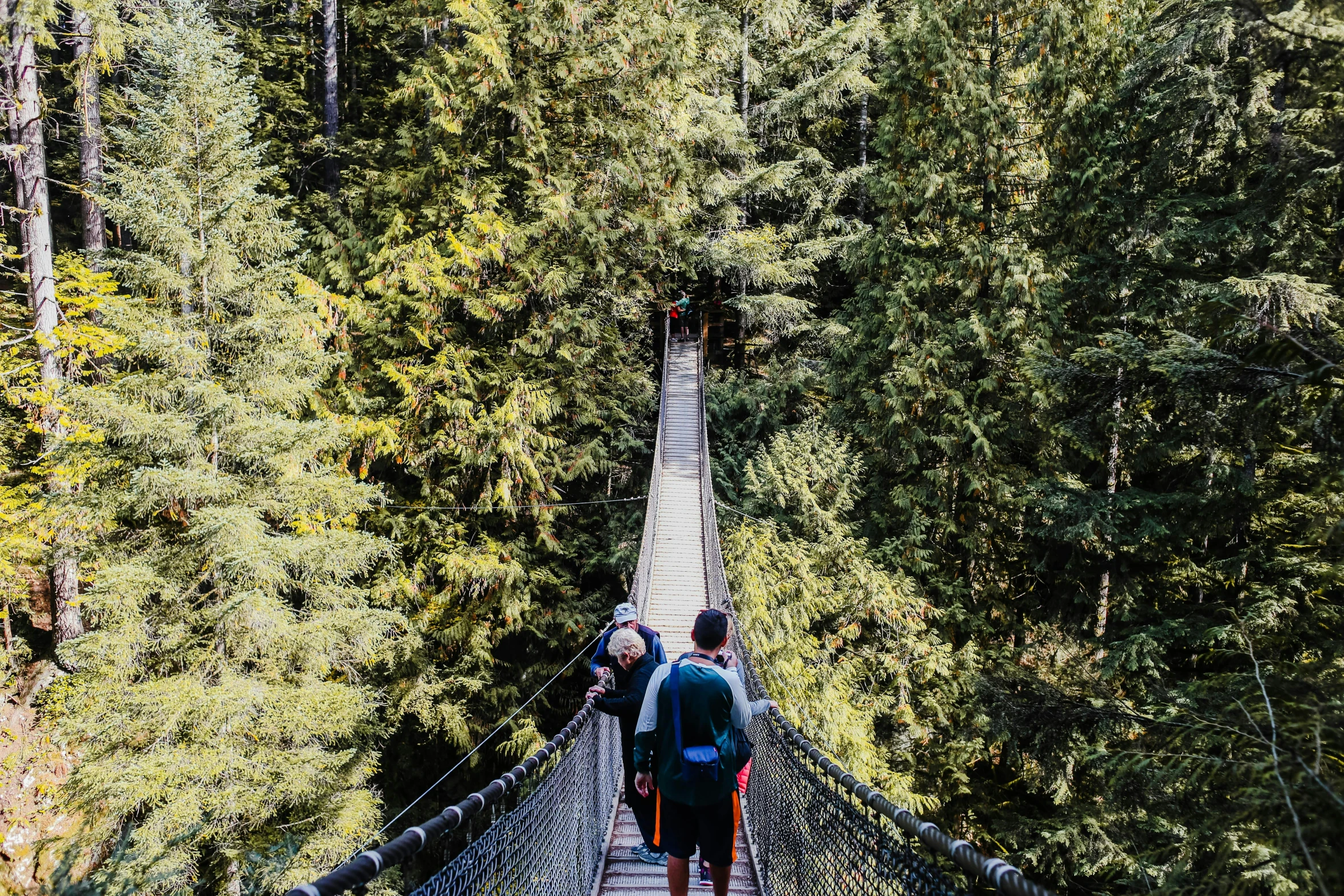 two people walking across a suspension bridge in the woods, british columbia, avatar image