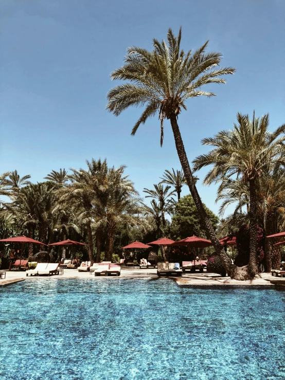 a large swimming pool surrounded by palm trees, unsplash, les nabis, 💋 💄 👠 👗, cairo, spa, an award winning