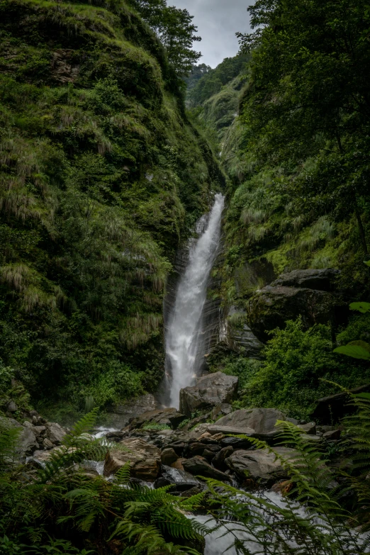 a waterfall in the middle of a lush green forest, by Muggur, nepal, taken with sony alpha 9, extreme narrow, overview