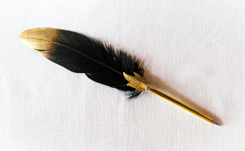 a feather pen sitting on top of a white table, gold and black metal, profile image, decoration, black