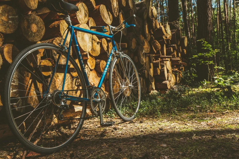 a blue bicycle parked next to a pile of logs, pexels contest winner, avatar image, pine wood, profile image, in karuizawa