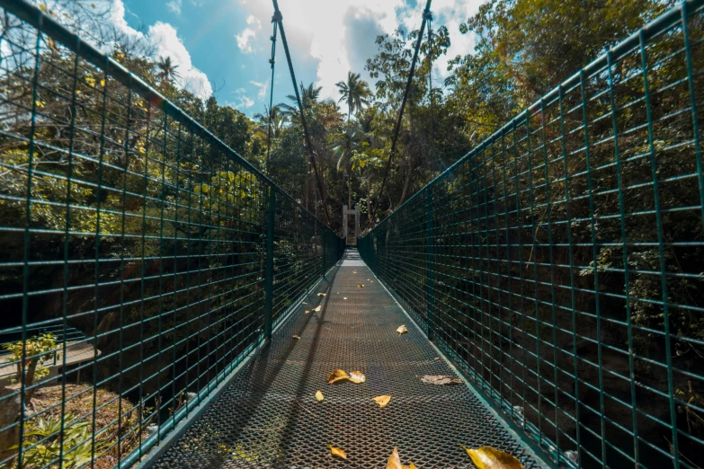 a suspension bridge in the middle of a forest, a portrait, pexels contest winner, hurufiyya, tropical jungle, 🦩🪐🐞👩🏻🦳, urban surroundings, screens