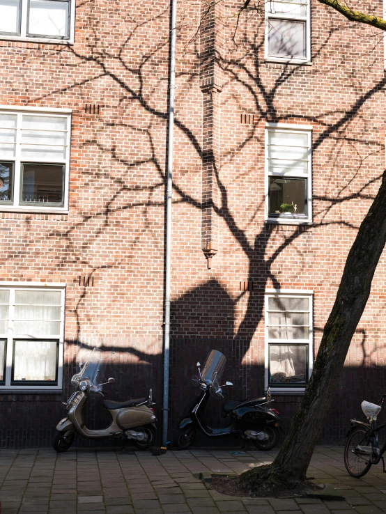 a row of scooters parked in front of a brick building, a photo, by Jan Gregoor, realism, large tree casting shadow, 1759, brown, apartment of an art student